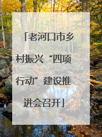 老河口市乡村振兴“四项行动”建设推进会召开