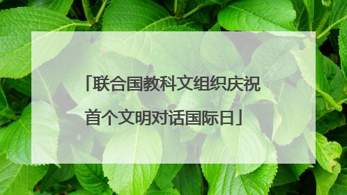联合国教科文组织庆祝首个文明对话国际日