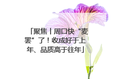 聚焦丨周口快“麦罢”了！收成好于上年、品质高于往年