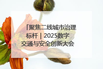 聚焦二线城市治理标杆｜2025数字交通与安全创新大会在保定隆重开幕