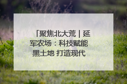聚焦北大荒｜延军农场：科技赋能黑土地 打造现代农业“智慧芯”