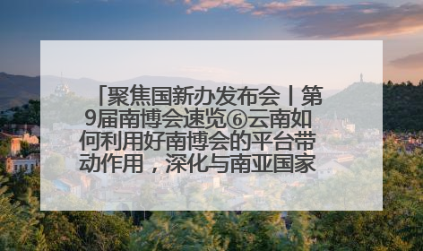聚焦国新办发布会丨第9届南博会速览⑥云南如何利用好南博会的平台带动作用，深化与南亚国家的交流与合作？