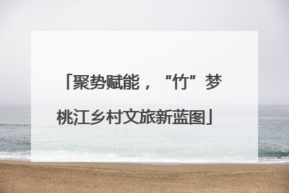 聚势赋能，“竹”梦桃江乡村文旅新蓝图