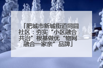 肥城市新城街道同圆社区：夯实“小区融合共治”根基做优“物网融合一家亲”品牌