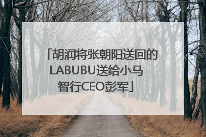 胡润将张朝阳送回的LABUBU送给小马智行CEO彭军