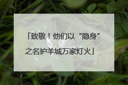 致敬！他们以“隐身”之名护羊城万家灯火