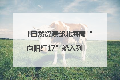 自然资源部北海局“向阳红17”船入列