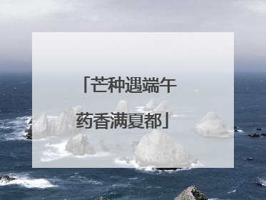 芒种遇端午 药香满夏都