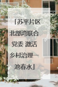 苏平片区北部湾联合党委 激活乡村治理一池春水
