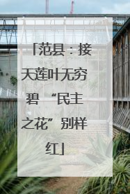 范县：接天莲叶无穷碧 “民主之花”别样红