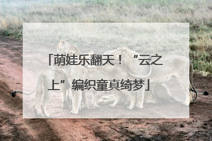 萌娃乐翻天！“云之上”编织童真绮梦