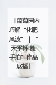 葡萄园内巧解“化肥风波”｜“天平杯·随手拍”作品展播
