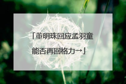 董明珠回应孟羽童能否再回格力→