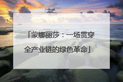 蒙娜丽莎：一场贯穿全产业链的绿色革命