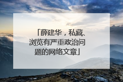 薛建华，私藏、浏览有严重政治问题的网络文章