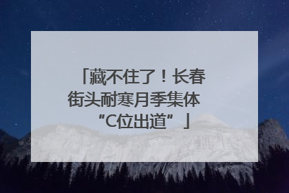 藏不住了！长春街头耐寒月季集体“C位出道”