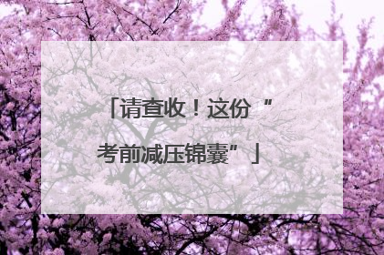 请查收！这份“考前减压锦囊”