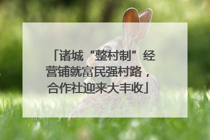 诸城“整村制”经营铺就富民强村路，合作社迎来大丰收