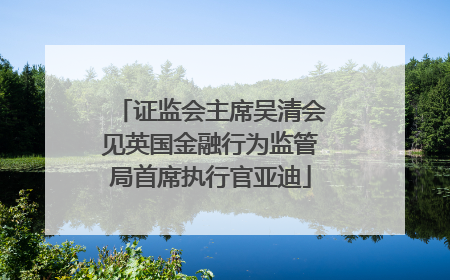 证监会主席吴清会见英国金融行为监管局首席执行官亚迪