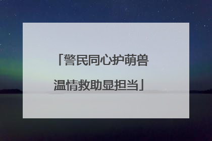 警民同心护萌兽 温情救助显担当