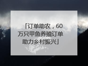 订单助农，60万只甲鱼养殖订单助力乡村振兴
