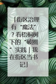 街区治理有“魔法”？看梧桐树下的“破圈”实践｜我在街区当书记