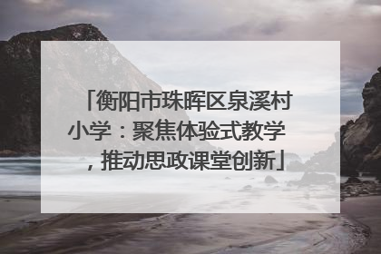 衡阳市珠晖区泉溪村小学：聚焦体验式教学，推动思政课堂创新