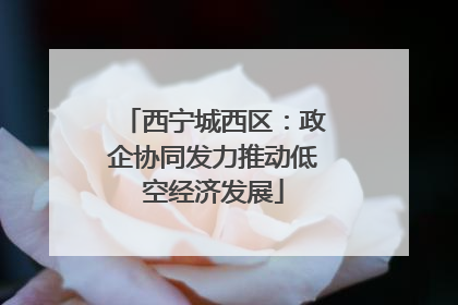 西宁城西区：政企协同发力推动低空经济发展