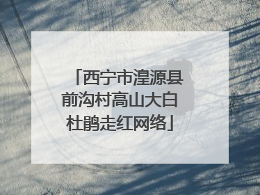 西宁市湟源县前沟村高山大白杜鹃走红网络