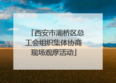 西安市灞桥区总工会组织集体协商现场观摩活动