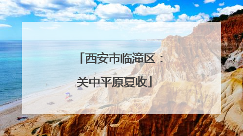 西安市临潼区：关中平原夏收