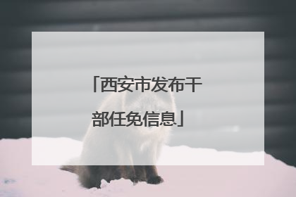 西安市发布干部任免信息