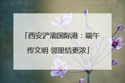 西安浐灞国际港：端午传文明 邻里情更浓