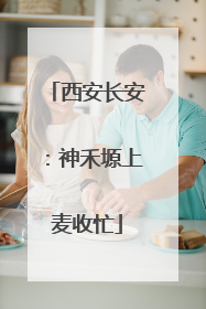 西安长安：神禾塬上麦收忙