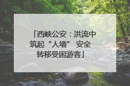 西峡公安：洪流中筑起“人墙” 安全转移受困游客