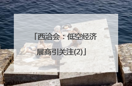 西洽会：低空经济展商引关注(2)