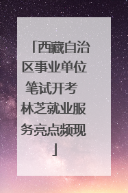 西藏自治区事业单位笔试开考 林芝就业服务亮点频现