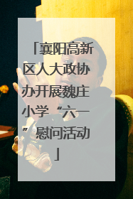 襄阳高新区人大政协办开展魏庄小学“六一”慰问活动