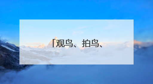 观鸟、拍鸟、爱鸟的“勺子王”李东明