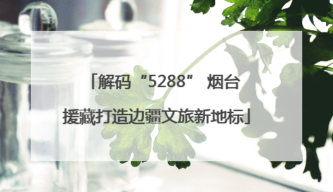 解码“5288” 烟台援藏打造边疆文旅新地标