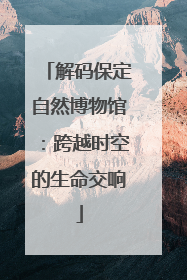 解码保定自然博物馆：跨越时空的生命交响