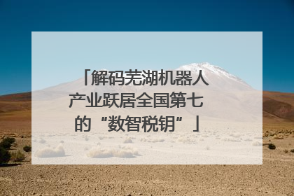 解码芜湖机器人产业跃居全国第七的“数智税钥”