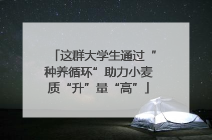 这群大学生通过“种养循环”助力小麦质“升”量“高”