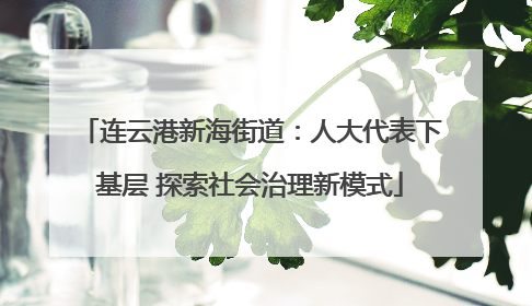 连云港新海街道：人大代表下基层 探索社会治理新模式