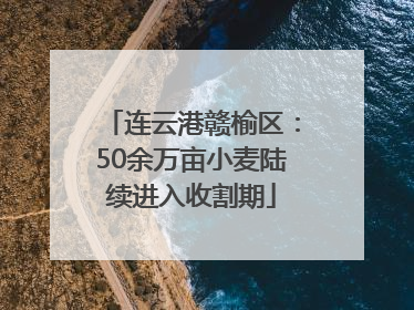 连云港赣榆区:50余万亩小麦陆续进入收割期