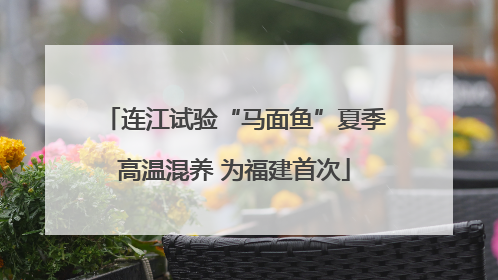 连江试验“马面鱼”夏季高温混养 为福建首次