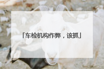 车检机构作弊，该抓
