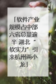 软件产业规模占中部六省总量逾半 湖北“软实力”引来杭州两小龙