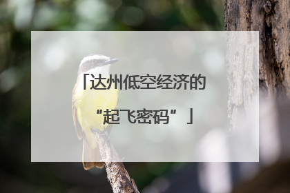 达州低空经济的“起飞密码”