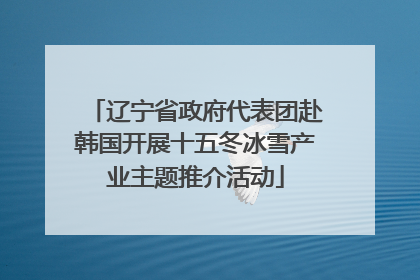 辽宁省政府代表团赴韩国开展十五冬冰雪产业主题推介活动